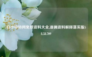 白小中特网免费资料大全,准确资料解释落实版58.58.709