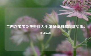 二四六宝宝免费资料大全,准确资料解释落实版58.58.678