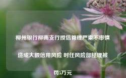 柳州银行柳南支行授信管理严重不审慎造成大额信用风险 时任风险部经理被罚5万元