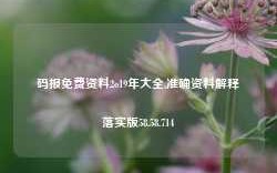 码报免费资料2o19年大全,准确资料解释落实版58.58.714