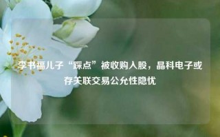 李书福儿子“踩点”被收购入股，晶科电子或存关联交易公允性隐忧