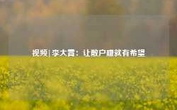 视频|李大霄：让散户赚就有希望