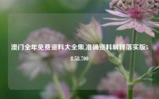 澳门全年免费资料大全集,准确资料解释落实版58.58.700