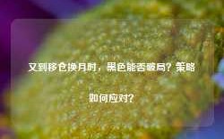 又到移仓换月时，黑色能否破局？策略如何应对？