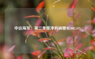 中远海发：第三季度净利润增长368.54%