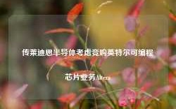 传莱迪思半导体考虑竞购英特尔可编程芯片业务Altera