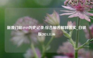 新澳门彩4949历史记录:综合解答解释落实_白银版2024.11.06