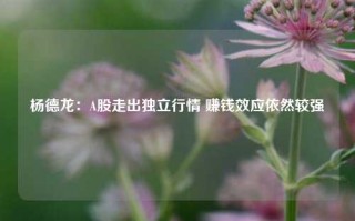 杨德龙：A股走出独立行情 赚钱效应依然较强