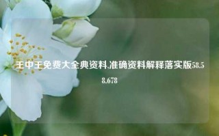 王中王免费大全典资料,准确资料解释落实版58.58.678