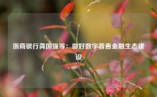 浙商银行龚国强等：做好数字普惠金融生态建设