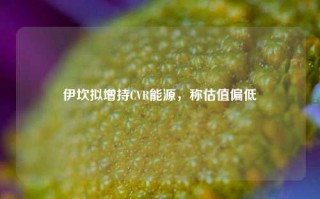 伊坎拟增持CVR能源，称估值偏低