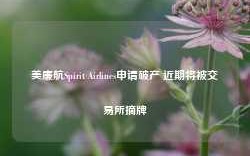 美廉航Spirit Airlines申请破产 近期将被交易所摘牌