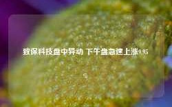 致保科技盘中异动 下午盘急速上涨9.95%