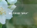 第三方支付的“冰与火”