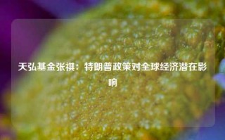 天弘基金张祺：特朗普政策对全球经济潜在影响