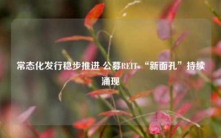 常态化发行稳步推进 公募REITs“新面孔”持续涌现