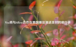 Visa将与Affirm合作在美国推出灵活支付的银行卡