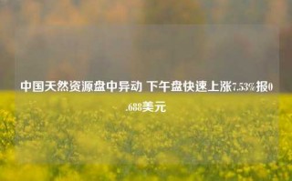 中国天然资源盘中异动 下午盘快速上涨7.53%报0.688美元