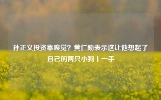 孙正义投资靠嗅觉？黄仁勋表示这让他想起了自己的两只小狗丨一手