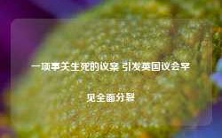 一项事关生死的议案 引发英国议会罕见全面分裂