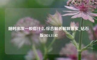 随时出发一般指什么:综合解答解释落实_钻石版2024.11.02