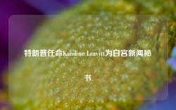 特朗普任命Karoline Leavitt为白宫新闻秘书