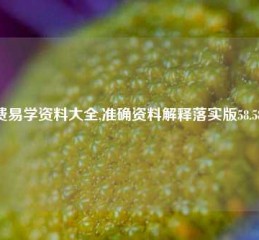 免费易学资料大全,准确资料解释落实版58.58.696