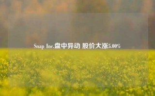 Snap Inc.盘中异动 股价大涨5.00%