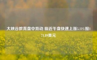 大峡谷教育盘中异动 临近午盘快速上涨5.11%报171.89美元