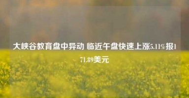 大峡谷教育盘中异动 临近午盘快速上涨5.11%报171.89美元