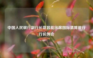 中国人民银行副行长宣昌能出席国际清算银行行长例会