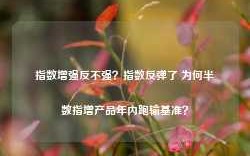 指数增强反不强？指数反弹了 为何半数指增产品年内跑输基准？