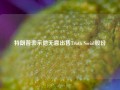 特朗普表示他无意出售Truth Social股份