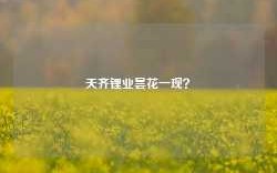 天齐锂业昙花一现？