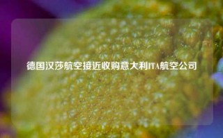 德国汉莎航空接近收购意大利ITA航空公司