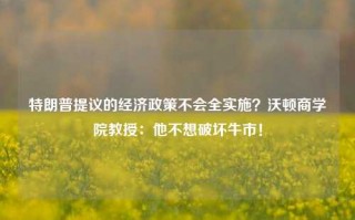 特朗普提议的经济政策不会全实施？沃顿商学院教授：他不想破坏牛市！