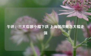 午评：三大指数小幅下跌 上海国改概念大幅走强