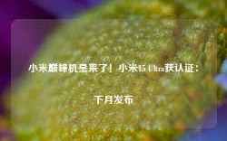 小米巅峰机皇来了！小米15 Ultra获认证：下月发布