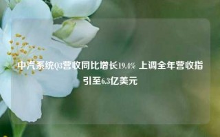 中汽系统Q3营收同比增长19.4% 上调全年营收指引至6.3亿美元