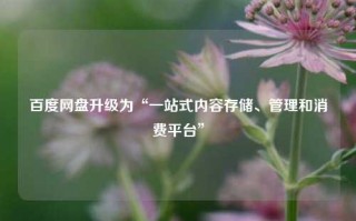 百度网盘升级为“一站式内容存储、管理和消费平台”