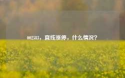 002583，直线涨停，什么情况？