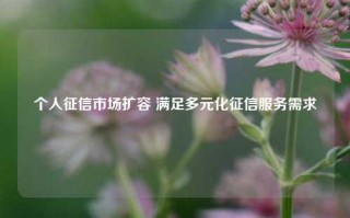 个人征信市场扩容 满足多元化征信服务需求