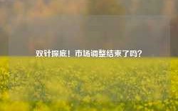 双针探底！市场调整结束了吗？