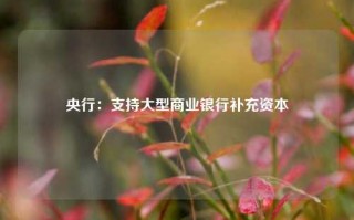 央行：支持大型商业银行补充资本