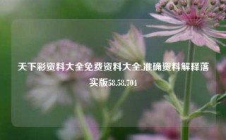 天下彩资料大全免费资料大全,准确资料解释落实版58.58.704