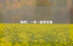 钢材：一年一度等冬储