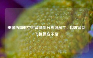 美国西南航空将裁减部分机场员工，因波音新飞机供应不足