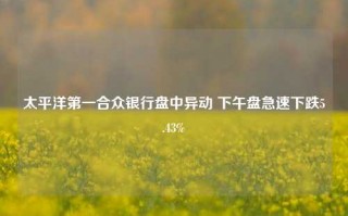 太平洋第一合众银行盘中异动 下午盘急速下跌5.43%