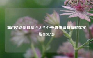 澳门免费资料精准大全公开,准确资料解释落实版58.58.726