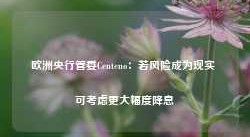 欧洲央行管委Centeno：若风险成为现实 可考虑更大幅度降息